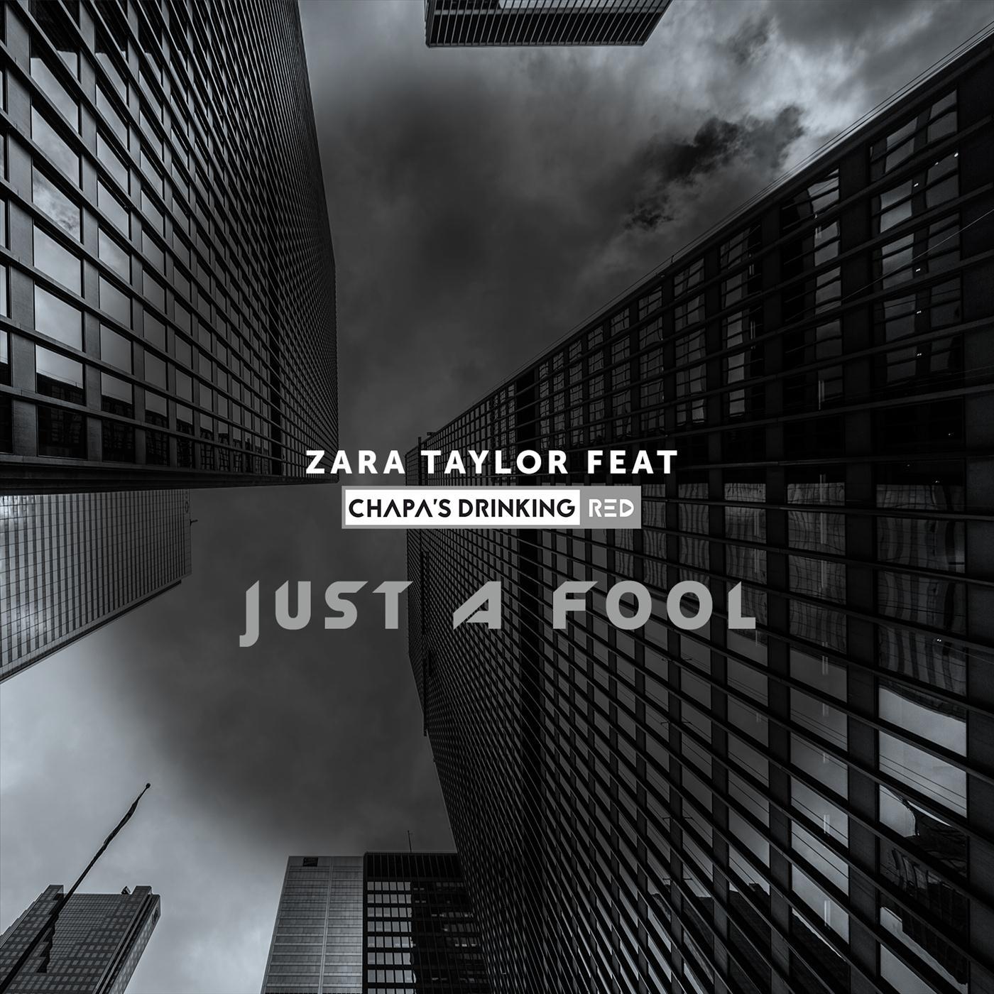 Just a Fool (feat. Chapa's Drinking Red)
