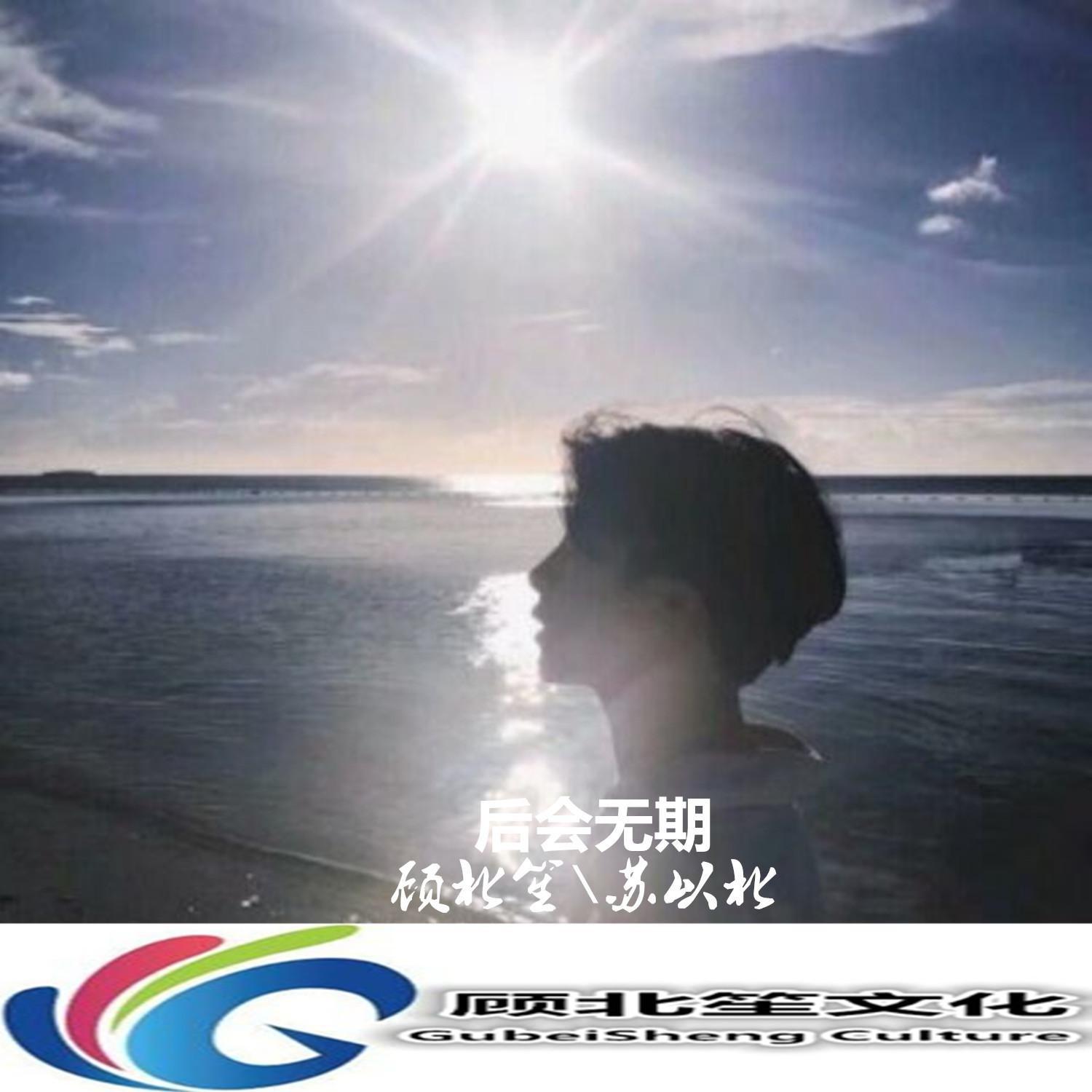 汪苏泷-后会无期 (抖音DJ版)（顾北笙 / 苏以北 remix）