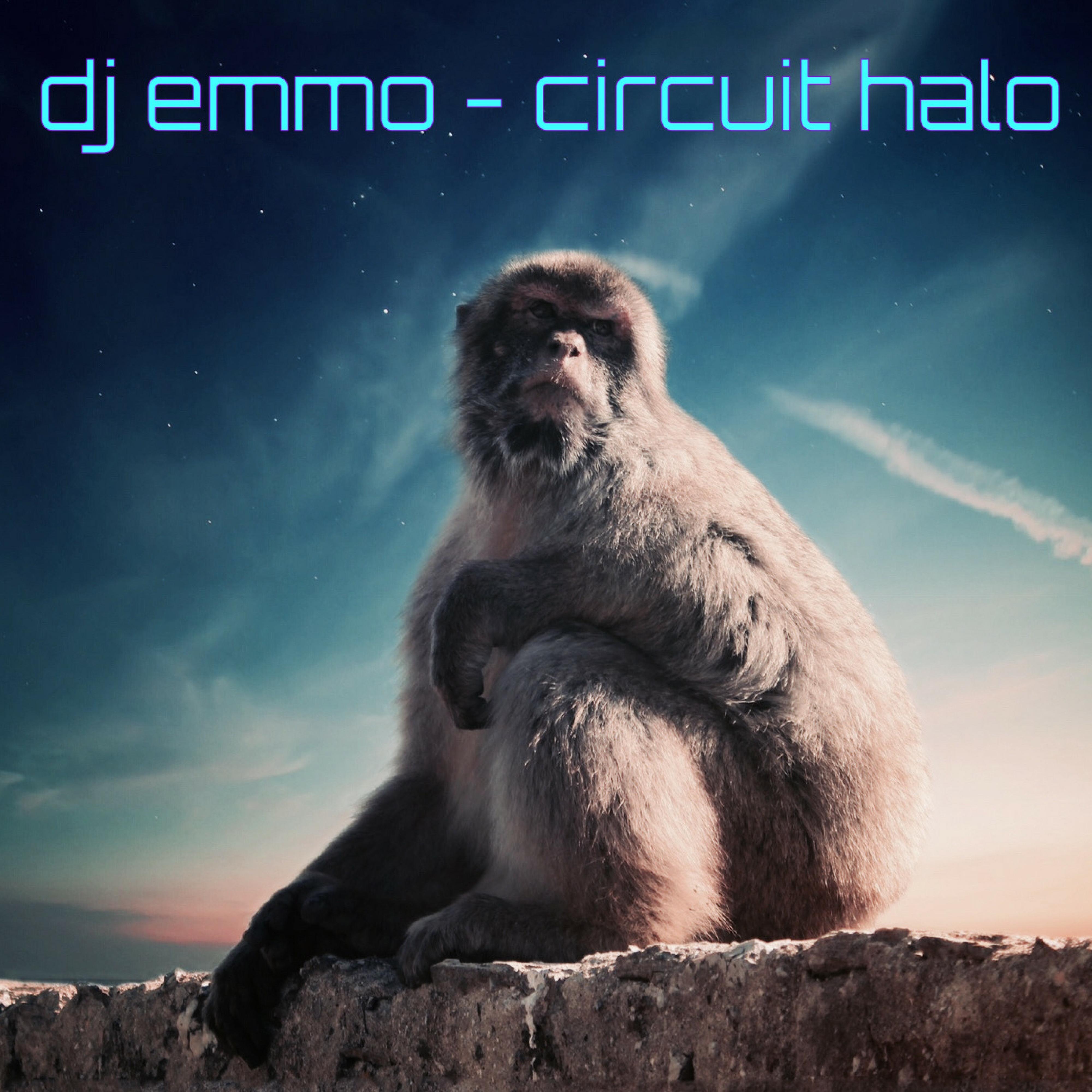 Circuit Halo