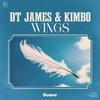 DT James - Wings