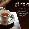 Hoji Matkurban - Bir Piyale Qay（一杯茶）