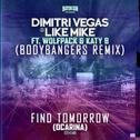 Find Tomorrow (Ocarina) (Bodybangers Remix)专辑