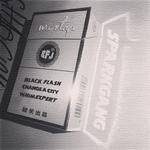 BlAck FlAsh专辑