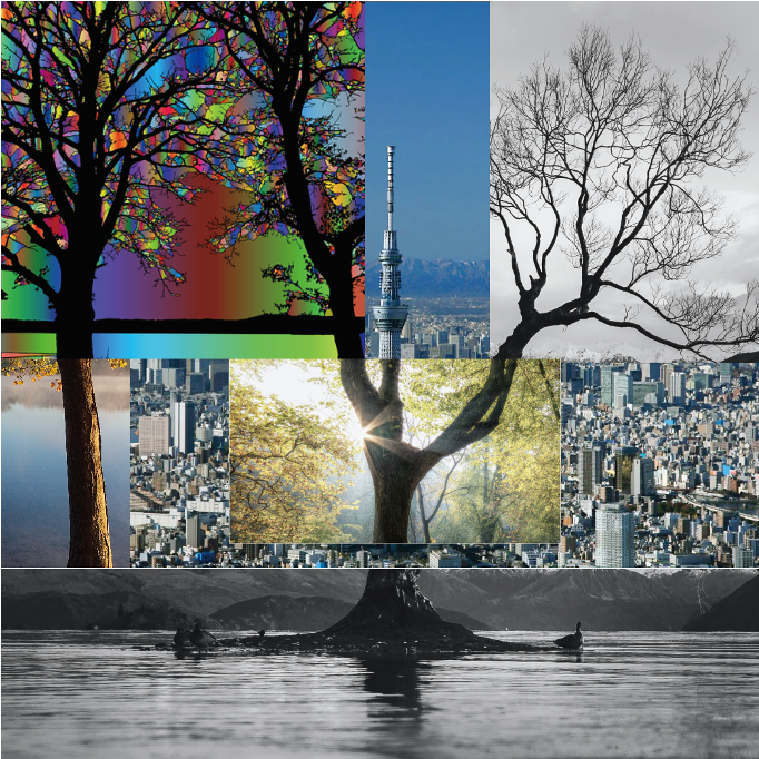 Rootless Trees