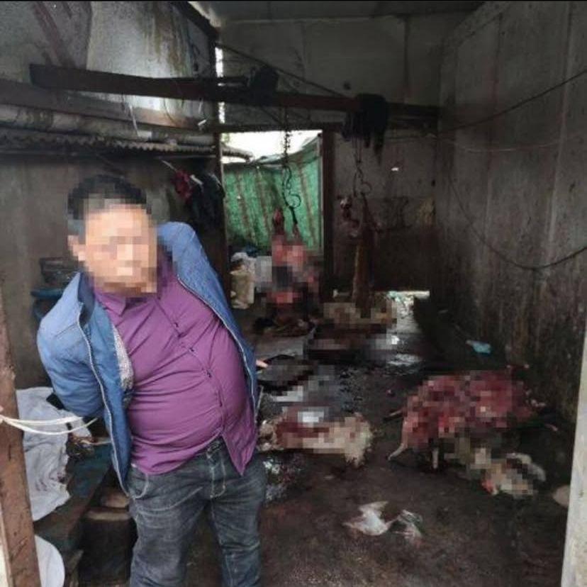 ''Caput'' GLO*IAN*TYPE BEAT