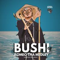 Romeo Tha Medley - Fazenda (Movimento Casa)