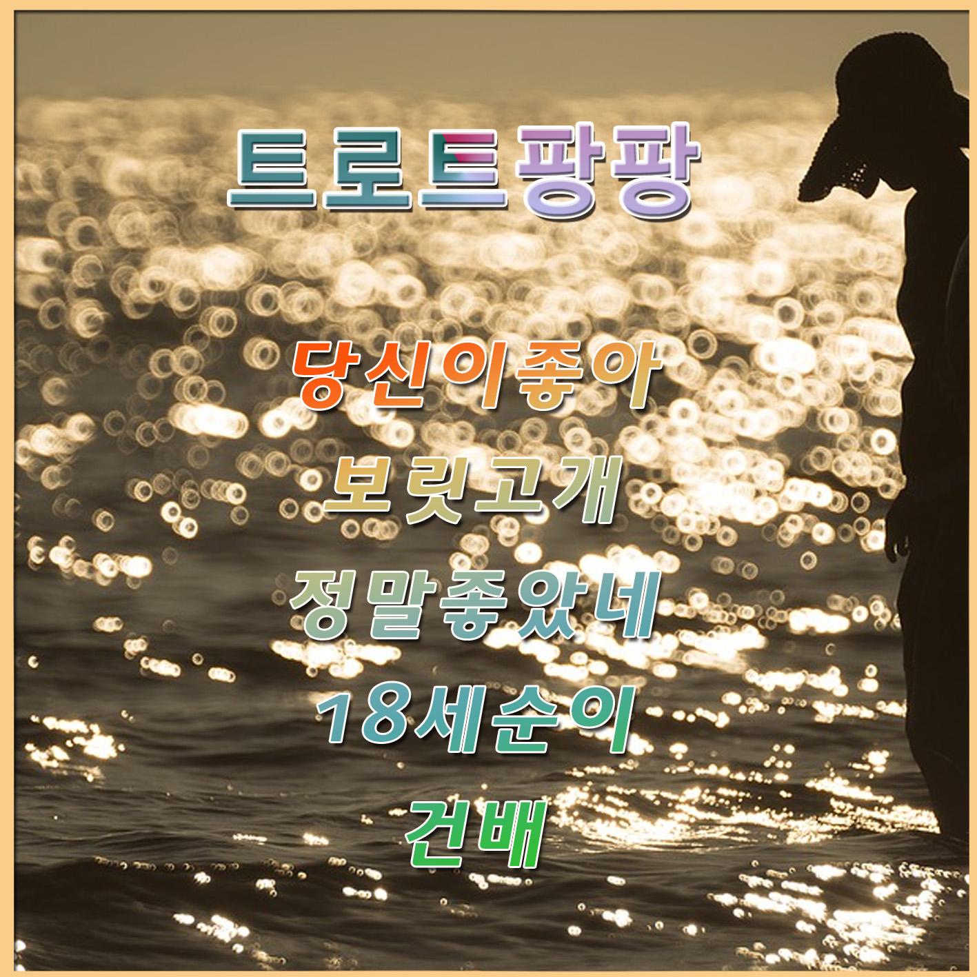 트로트 팡팡
