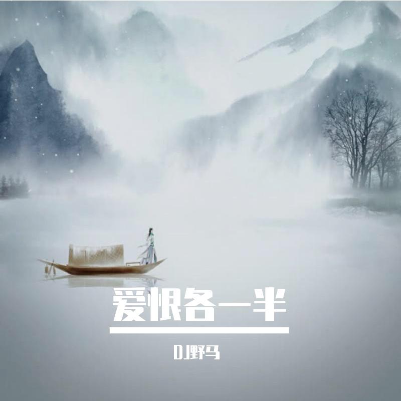爱恨各一半