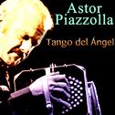 Tango del Ángel专辑