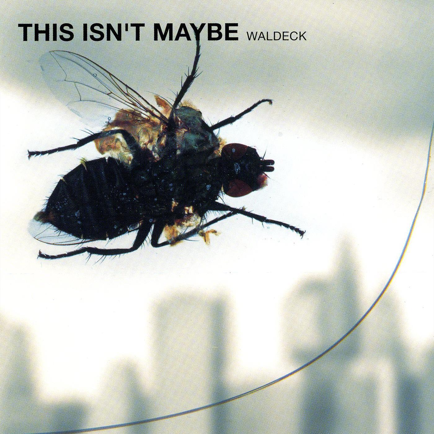 This Isn´t Maybe