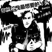 你就是我最想要的丫头 (DJ小鱼儿ExtendedMix)