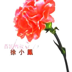 专辑《百花齐放》