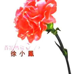 徐小凤《别亦难吉他谱》C调_节奏轻快愉悦