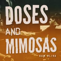 Doses And Mimosas - Ella Henderson (unofficial Instrumental) 无和声伴奏