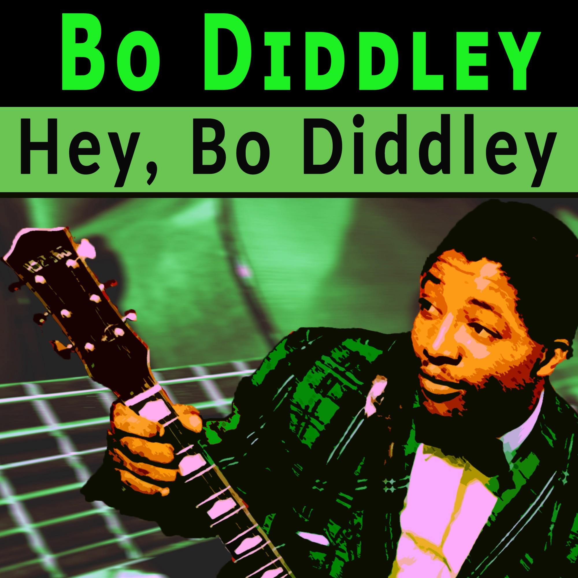 Hey, Bo Diddley