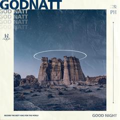 God Natt（remix）