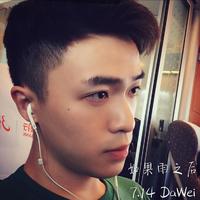 王大韡 - 如果雨之后