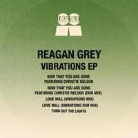 Reagan Grey, Sean Jones - Love Will (Vibrations Mix) 123