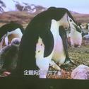 Our (penguin) Way to Say Goodbye专辑