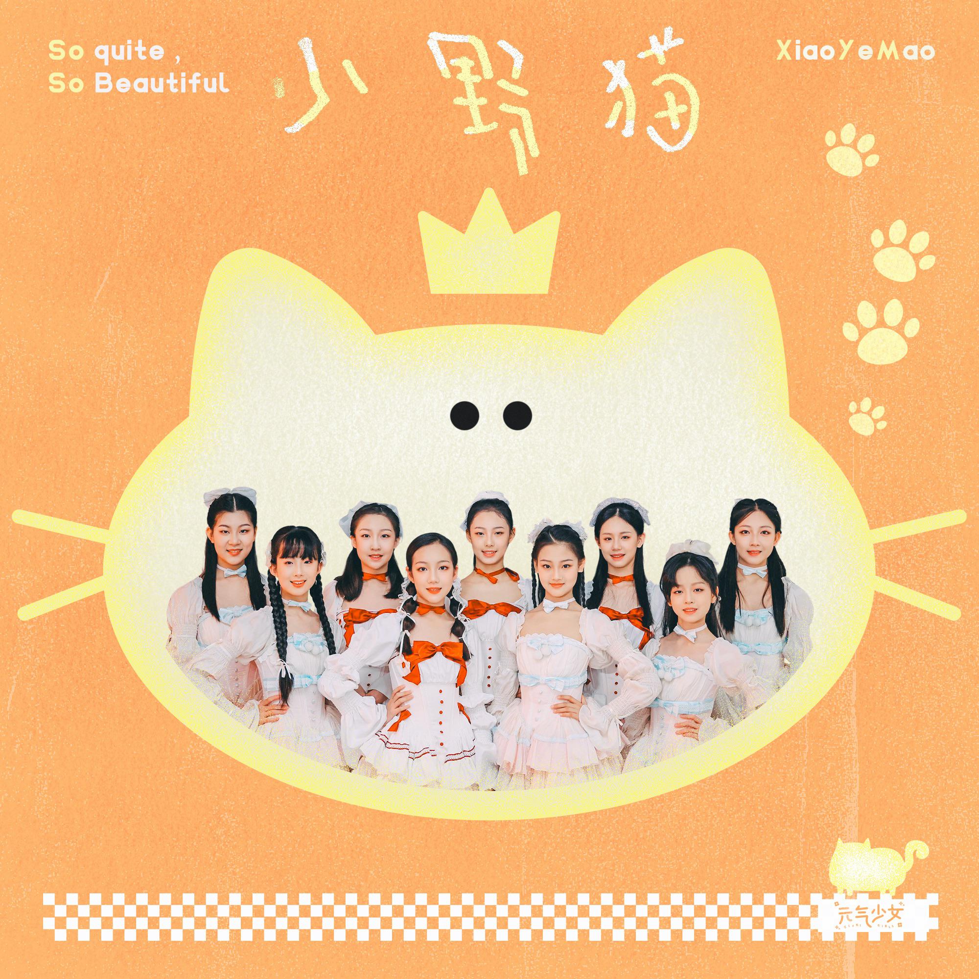小野猫