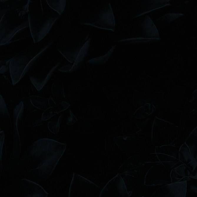 Immortal she x cash carti supervillain