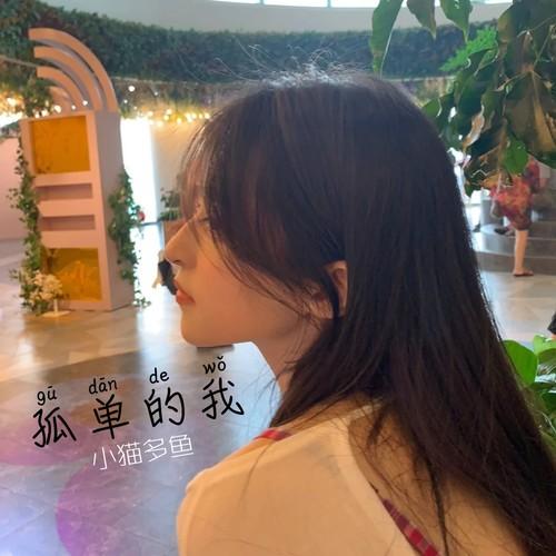 一个人想着一个人(DJ热歌)