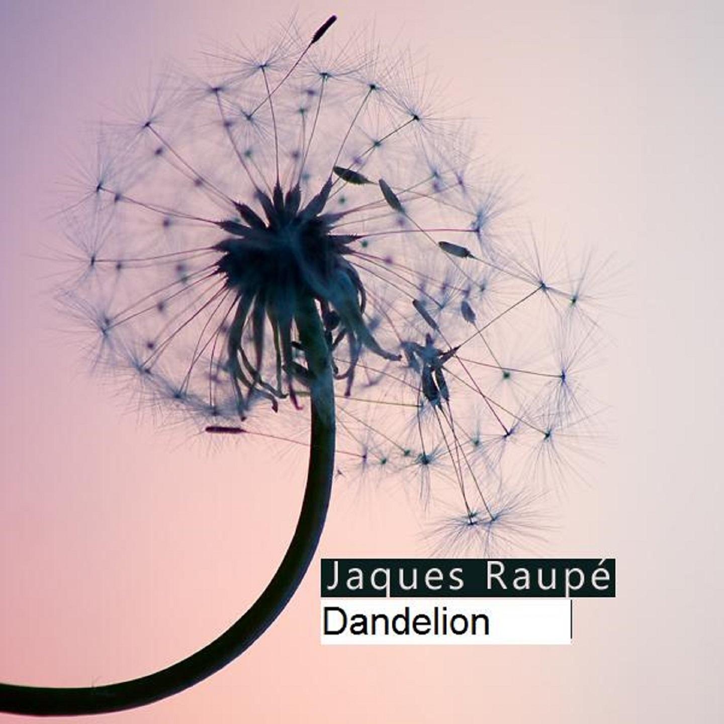 Pusteblume