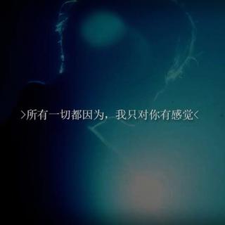 【只对你有感觉】歌单