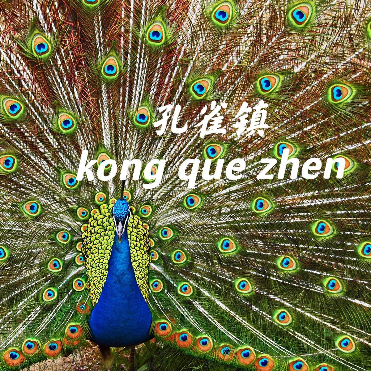 孔雀镇