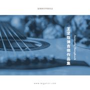 王坚指弹吉他改编作品集