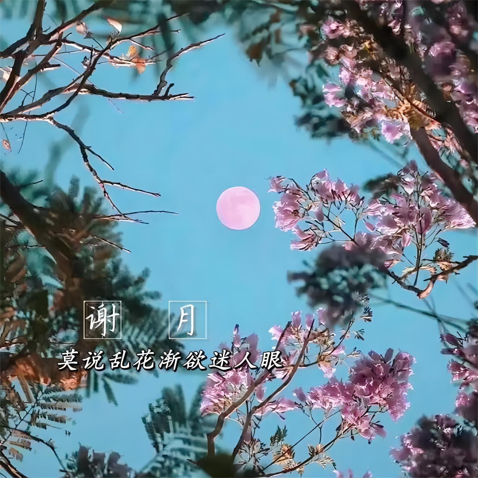 谢月