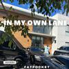 Fatpocket - IN MY OWN LANE