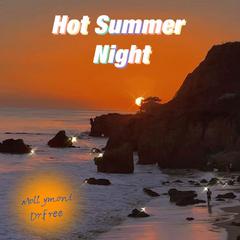 Hot Summer Night (Remix)