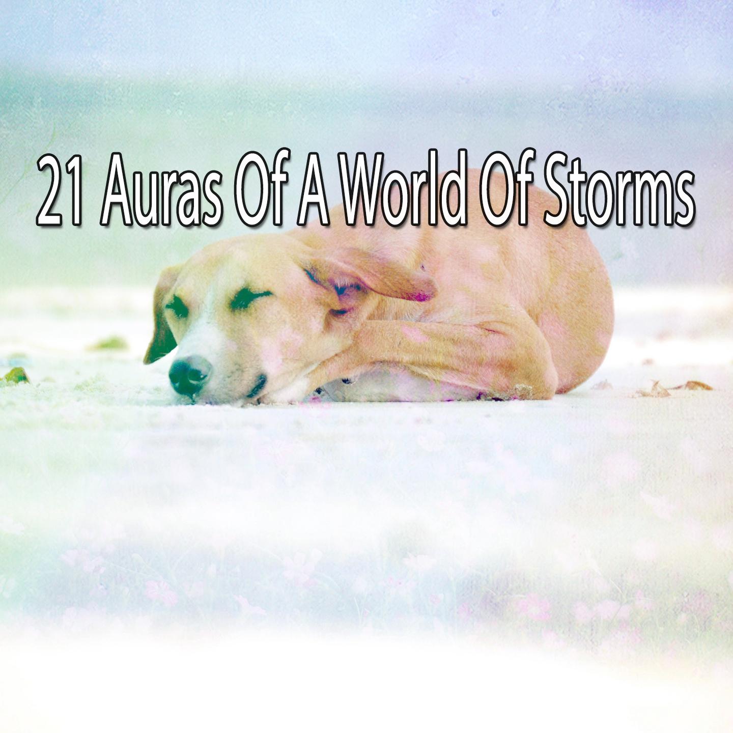 21 Auras Of A World Of Storms专辑