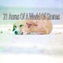 21 Auras Of A World Of Storms专辑