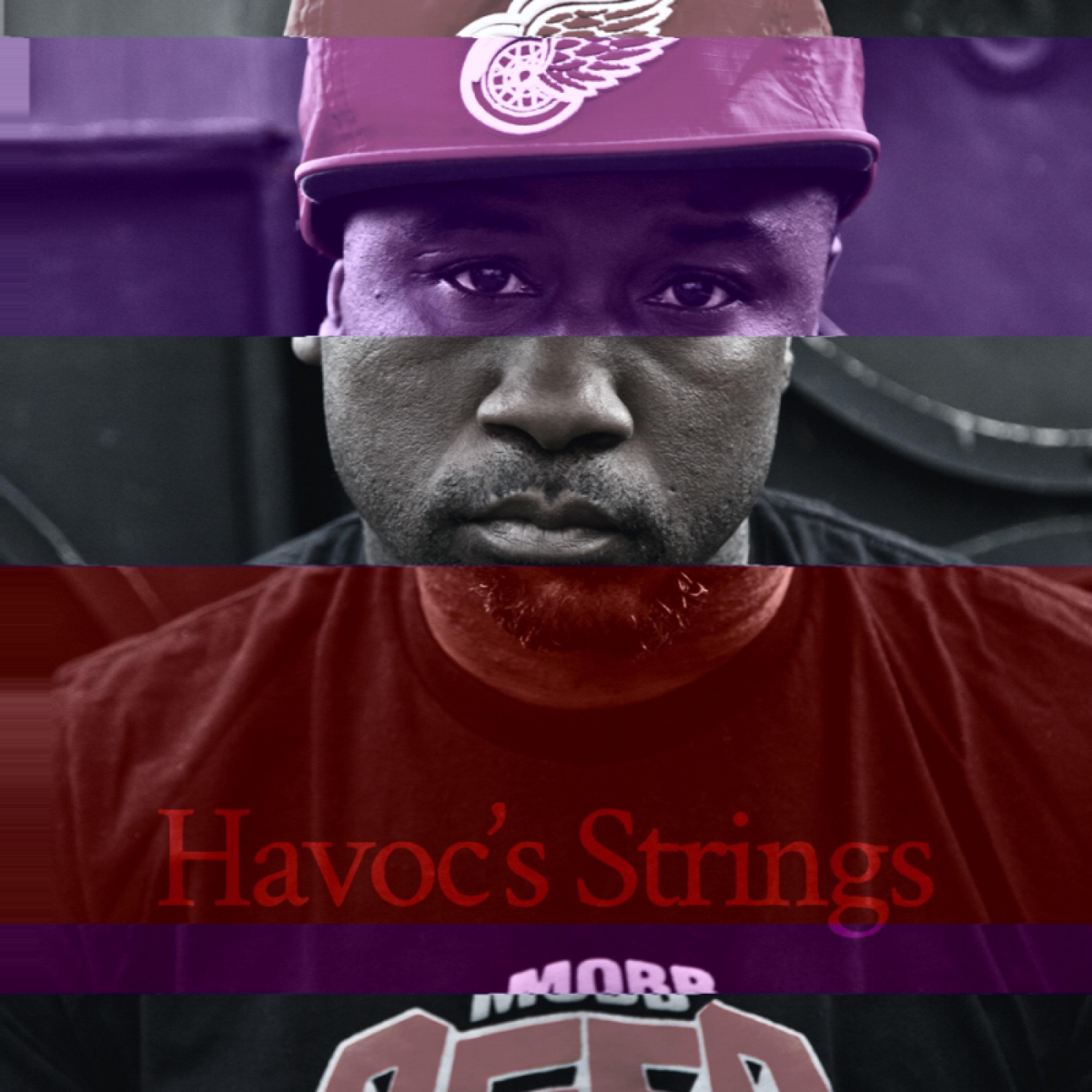 Havoc's Strings (V̷I̷N̷S̷K̷Y̷ Remix)