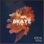 YDU (BKAYE Remix)专辑