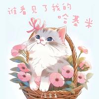 庄东茹(豆芽鱼) - 谁看见了我的哈基米 (原版伴奏)