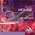 House, Vol. 1专辑