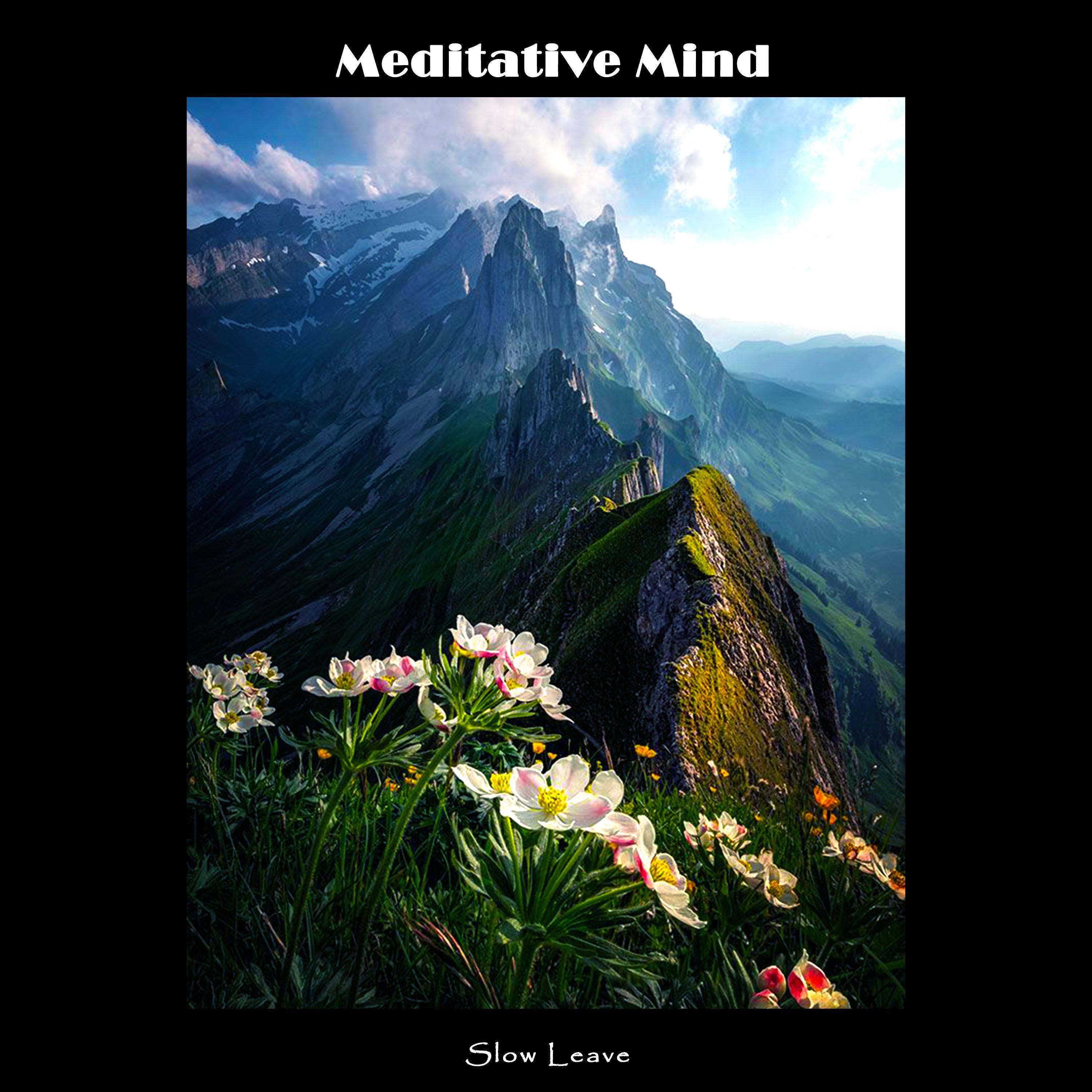 Meditative Mind