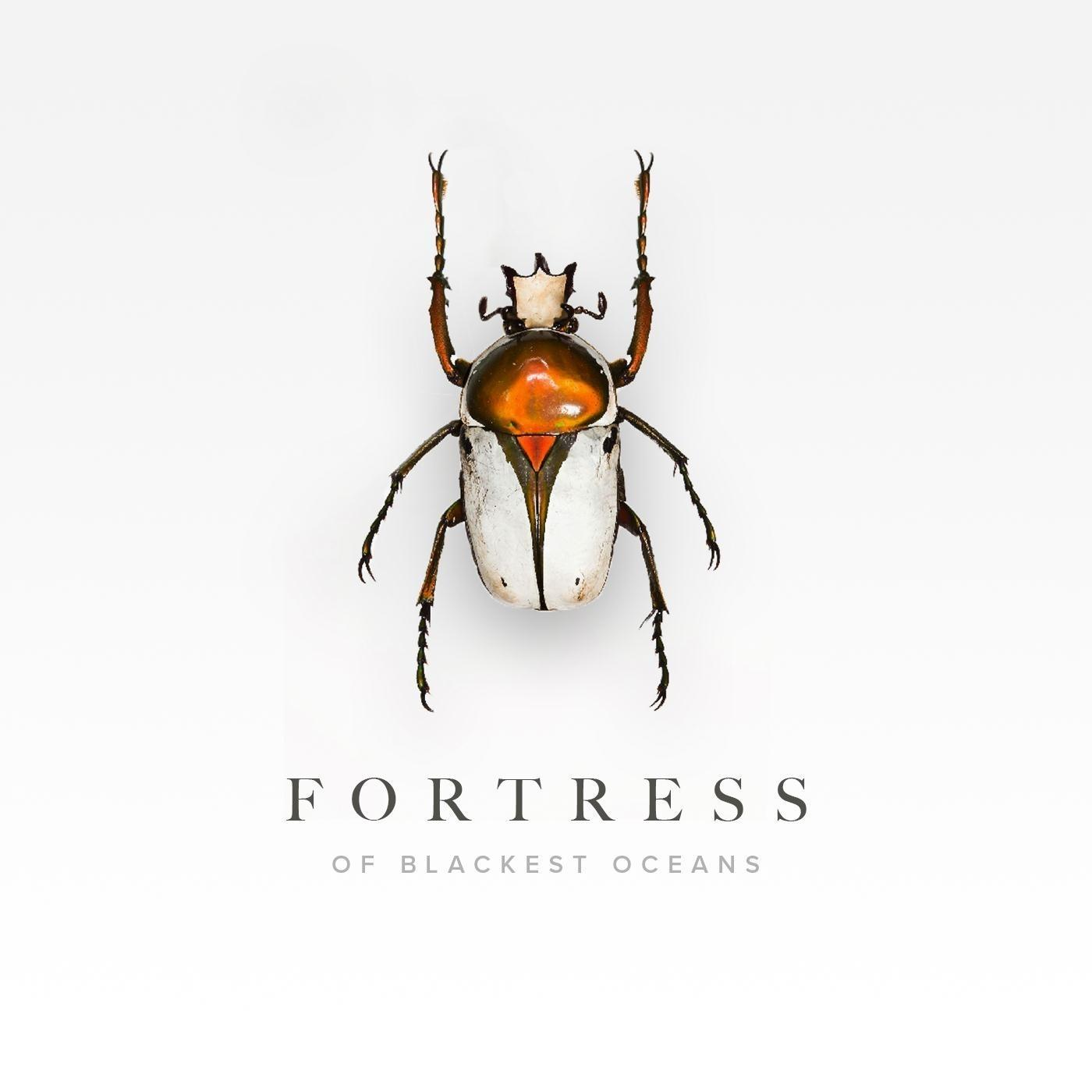 Fortress