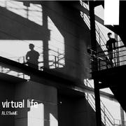 virtual life