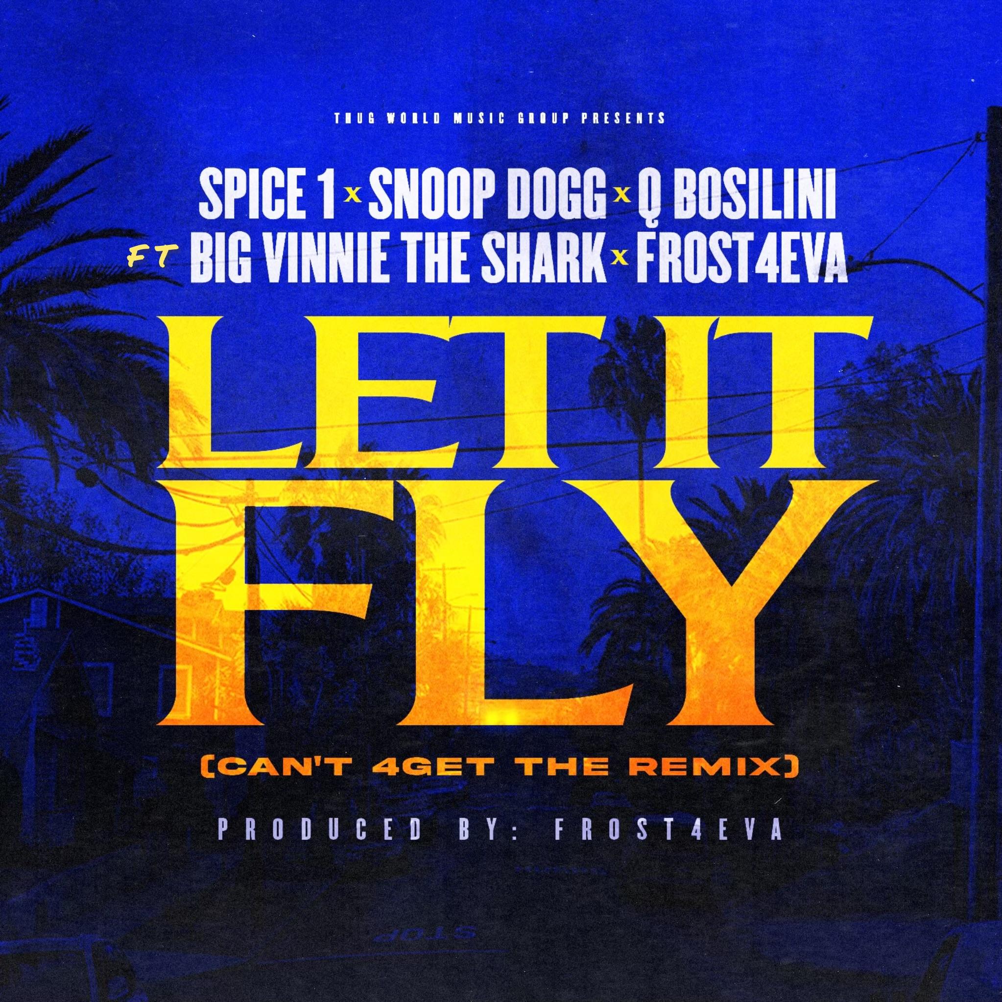 Let It Fly (Can't 4Get The Remix) [feat. Big Vinnie The Shark & Frost4eva] (Radio Edit)