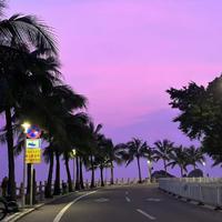 Indie D4vd type Beat 