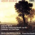 Dvořák: Complete Works for Piano 4 Hands, Vol. I专辑