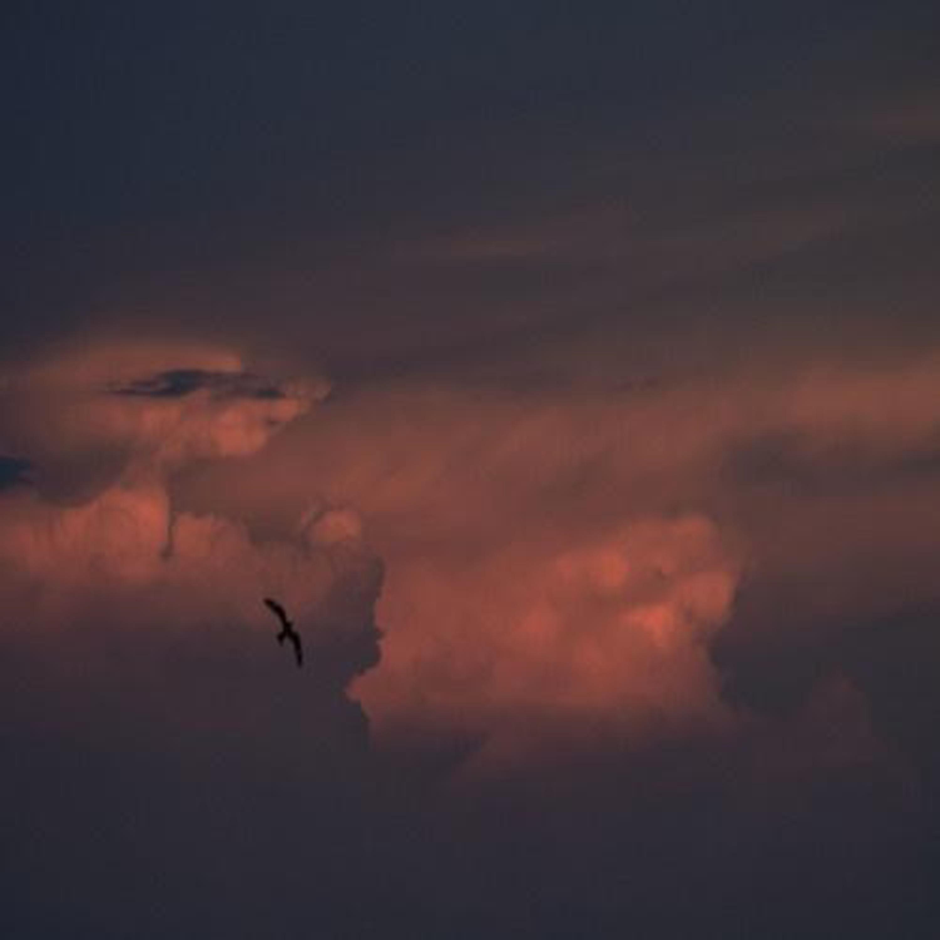 the part where she stopped.