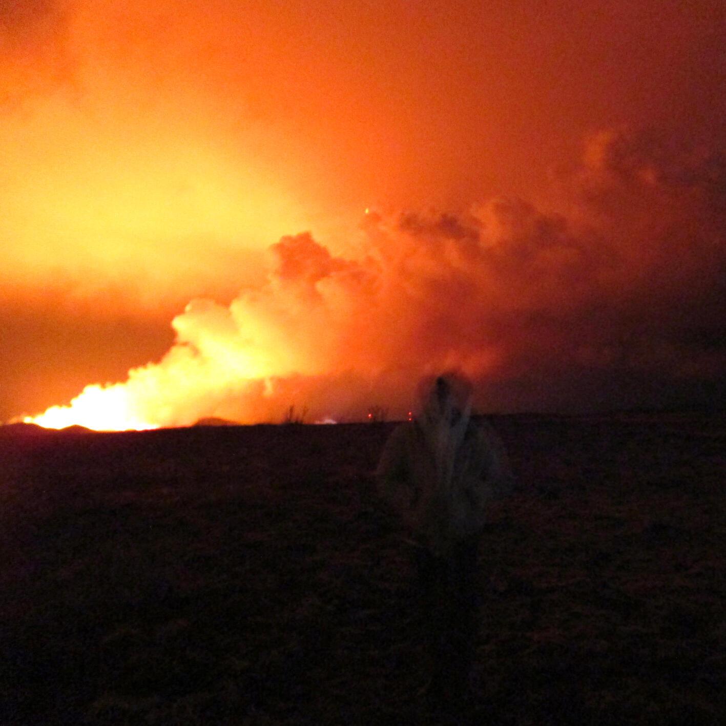 Burned It Down