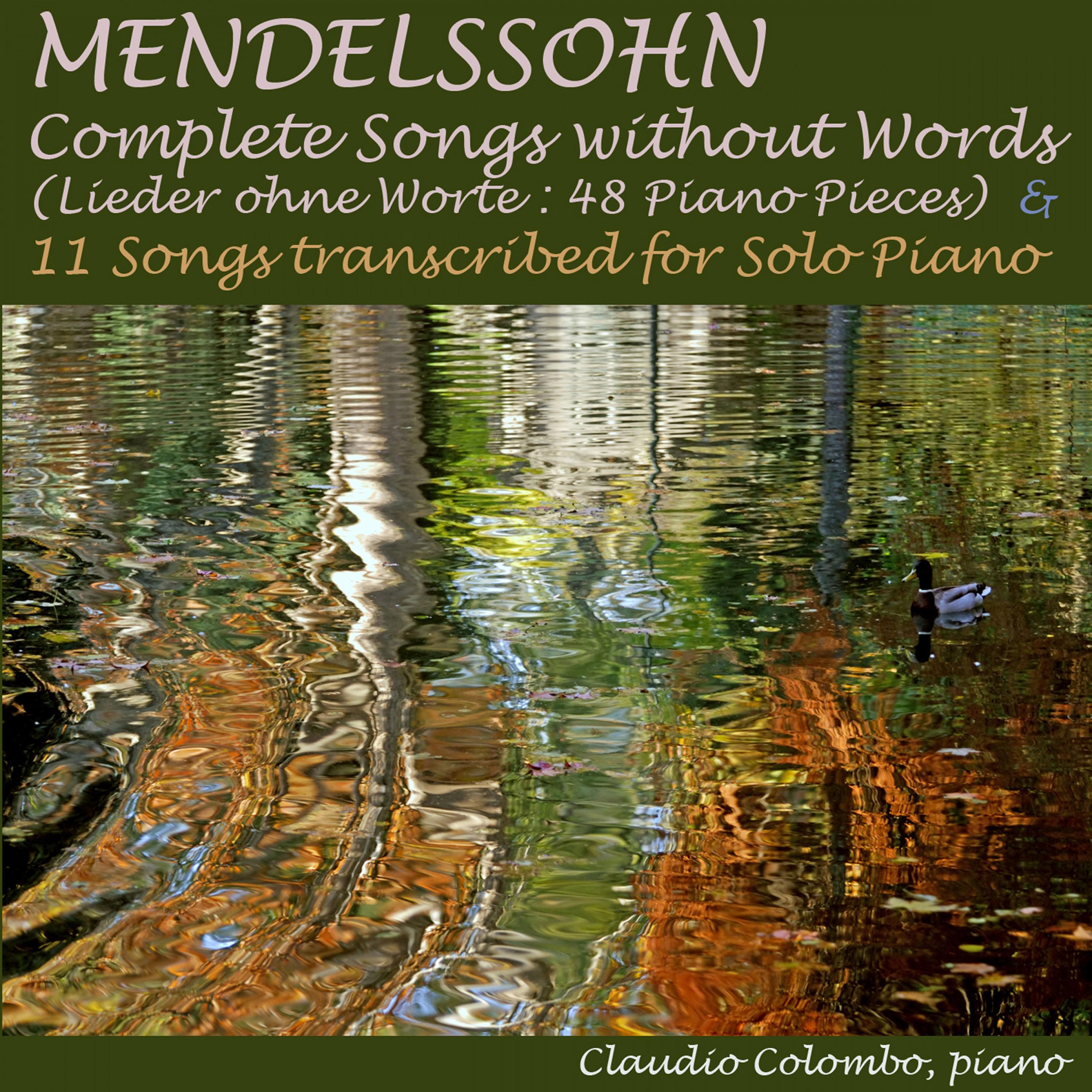 Song Without Words, Op. 19b: I. Andante con moto