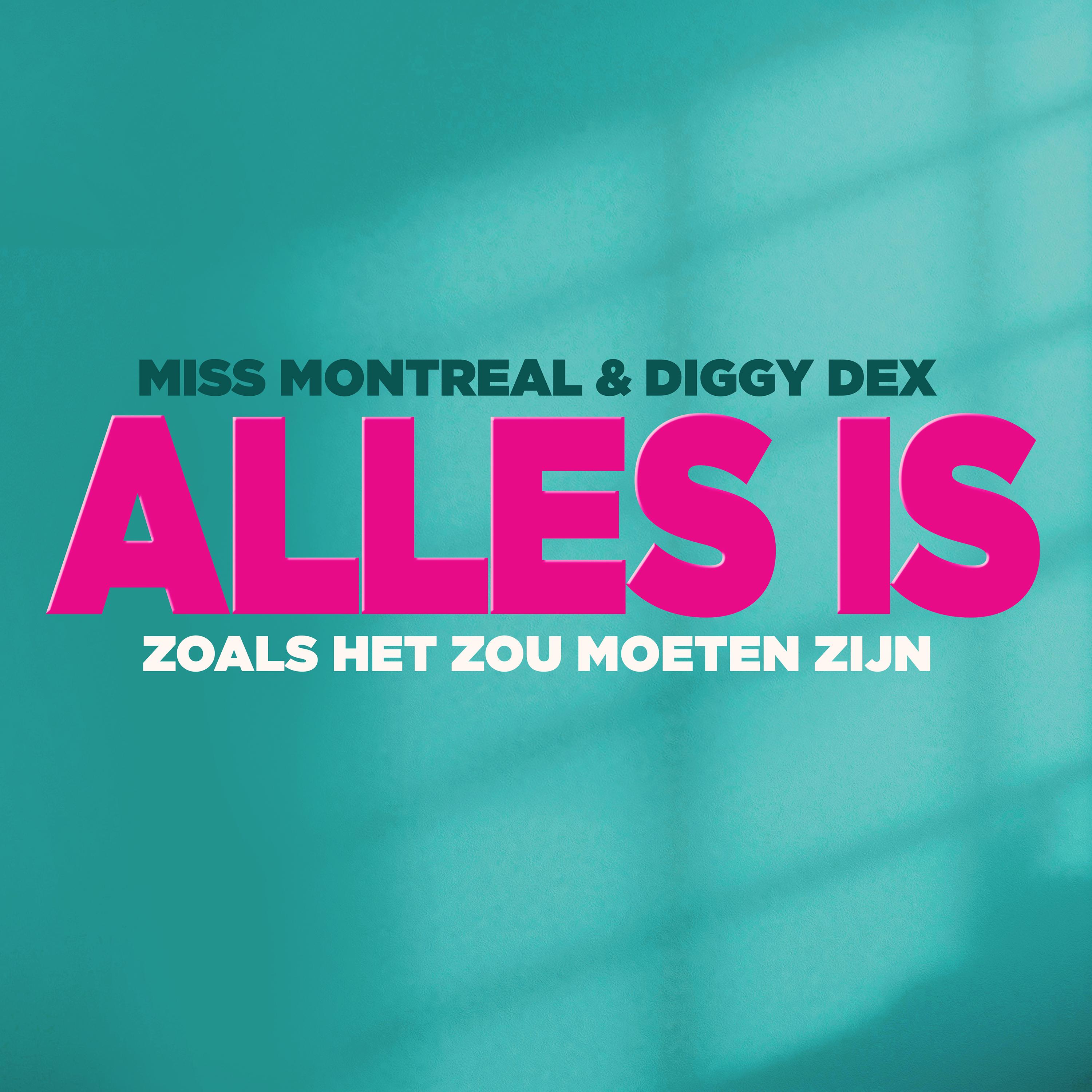 Alles Is Zoals Het Zou Moeten Zijn
