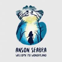 Welcome To Wonderland - Anson Seabra (钢琴伴奏)